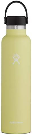 Hydro Flask Standard Mouth Bottle with Flex Cap | Amazon (US)