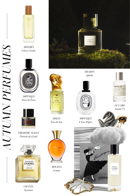 The 10 best French perfumes for the fall season

1. Hermès Vétiver Tonka
2. Trudon Aphélie
3. Diptyque Fleur de Peau
4. Sisley Eau du Soir
5. Diptyque L’Eau Papier
6. Le Labo Santal 33
7. Frederic Malle Portrait of a Lady
8. Rochas Femme
9. Chanel Sycomore
10. Le Galion Bourrasque

#LTKbeauty #LTKSeasonal