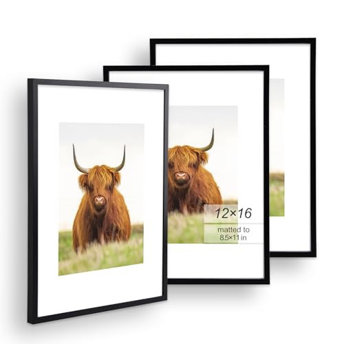 Golden State Art, 12x16 Picture Frame Set of 3, Black Thin Border, Display Photo 8.5x11 with Mat or 12x16 Without Mat, Poster Frame for Wall Hanging Horizontal and Vertical | Amazon (US)
