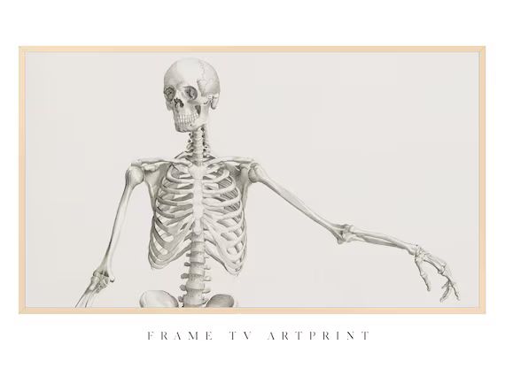 Samsung Frame TV Art Vintage  skeleton  - Etsy | Etsy (US)
