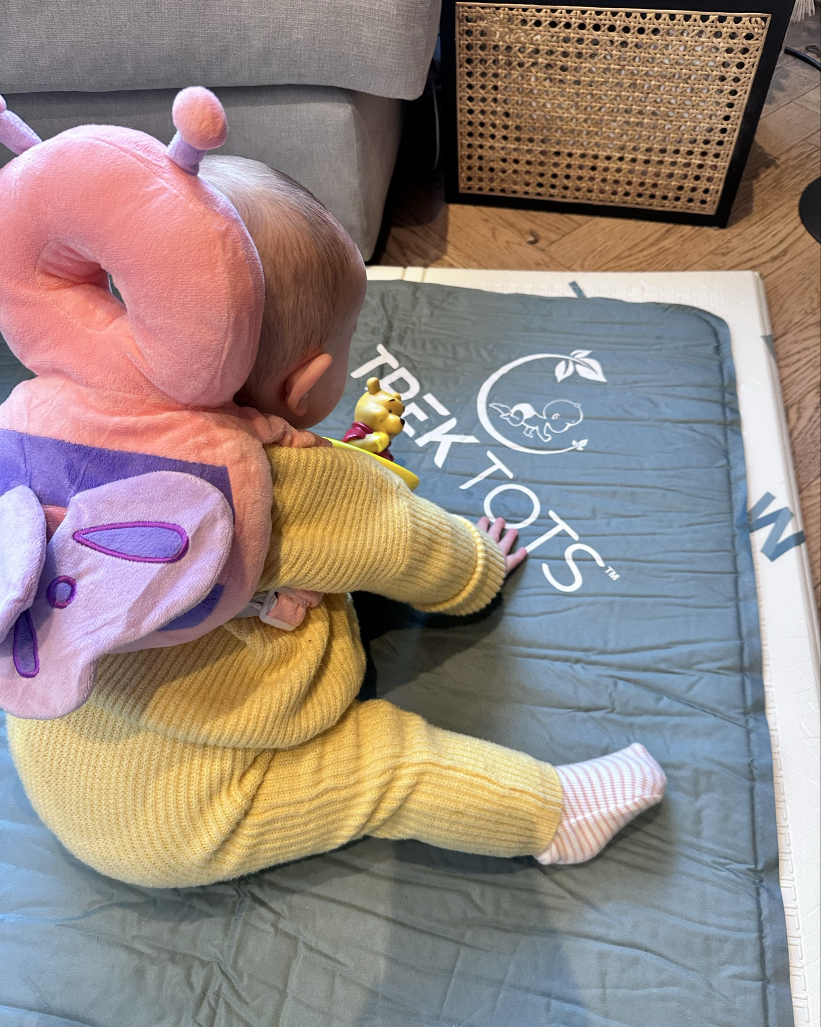 This little head protector backpack is actually good and works! I was expecting it to move and be useless and yet it has a harness at the front that clips it on tight and has genuinely cushioned her head effectively when she’s toppled backwards! #LTKbaby 

The inflatable portable playmat is from a small business called TrekTots, check them out on insta! 

#LTKbaby #LTKkids #LTKfamily