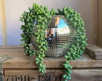 8 Disco Ball Planter Vase with 10mm Tiles | Etsy | Etsy (US)
