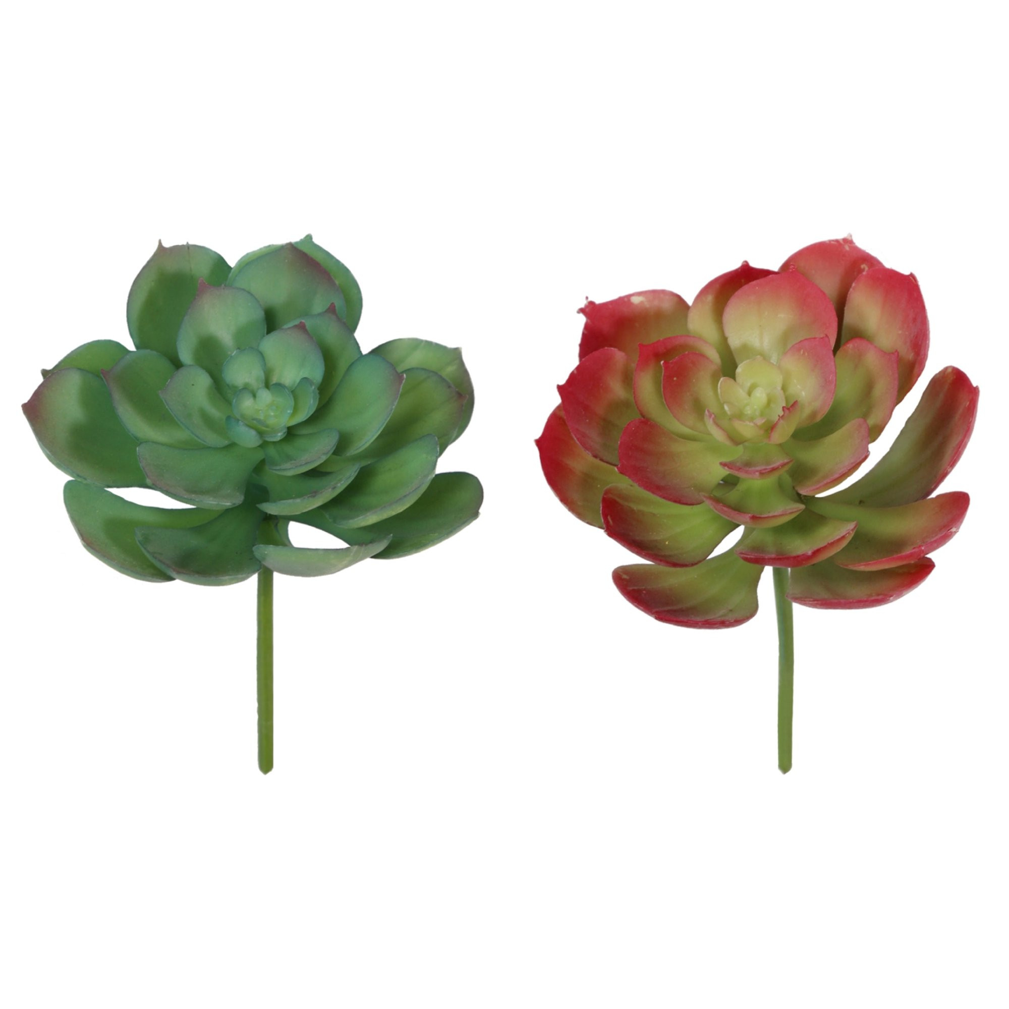5" Artificial Silk Assorted Color of Echeverialola Succulents Pick, by Mainstays - Walmart.com | Walmart (US)