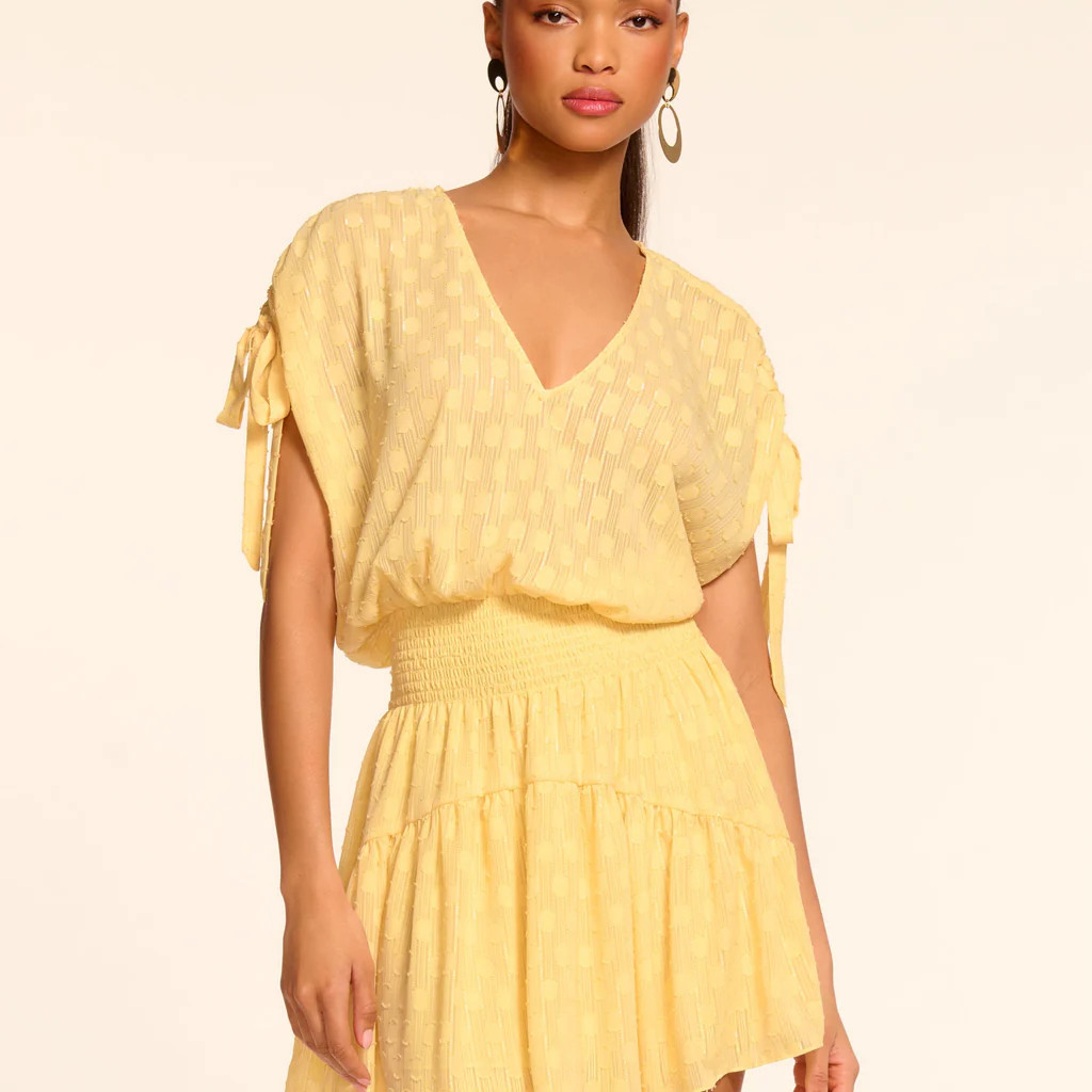 Fernanda Chiffon Smocked Mini Dress | Ramy Brook