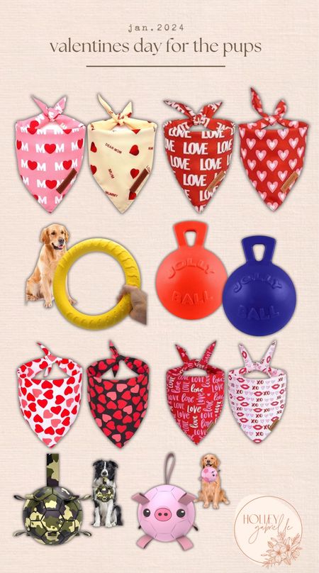 Valentine’s Day finds for the babes — ❤️💋🐾✨ love their Dana’s so much!! And these are the TOP fave toys! 🤌🏼

Amazon finds / golden retriever / dog mom / Holley Gabrielle 

#LTKfindsunder50 #LTKstyletip #LTKkids