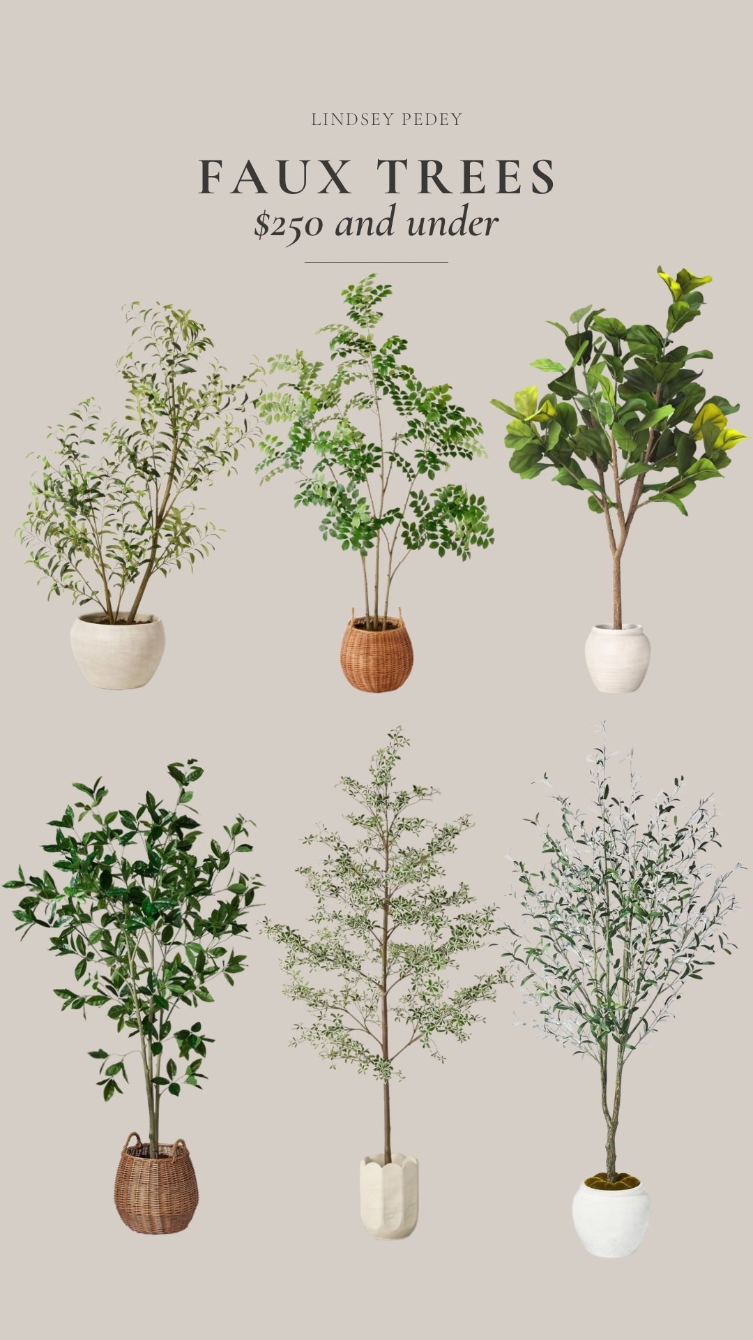Affordable faux trees to refresh your home for 2026!

#LTKHome #LTKFindsUnder50 #LTKSeasonal