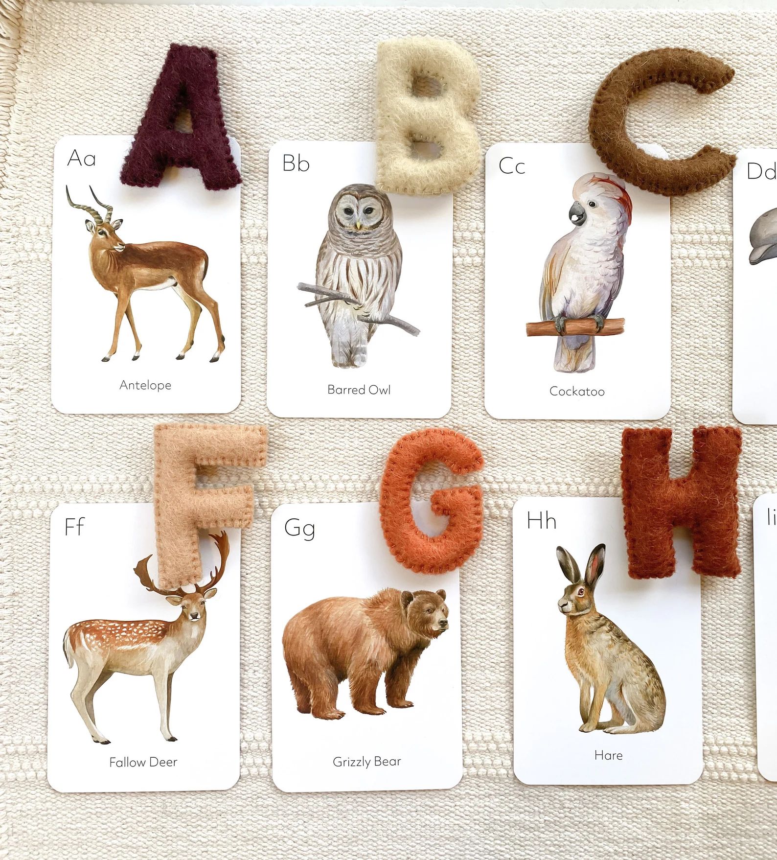Animal ABC Flash Cards - Flashcards for Kids - Alphabet - Back to School - Homeschool Learning | Etsy (US)