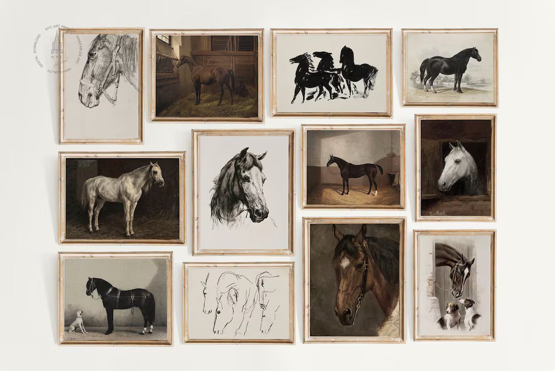 Set of 12 Vintage Horse, Horse Prints, Vintage Horse Painting, Equestrian Wall Art, Horse Decor, ... | Etsy (US)