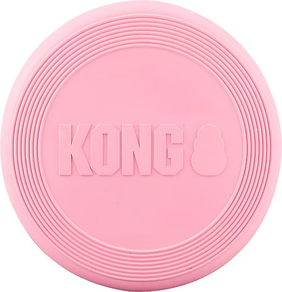 KONG Puppy Flyer Dog Toy, Color Varies - Chewy.com | Chewy.com