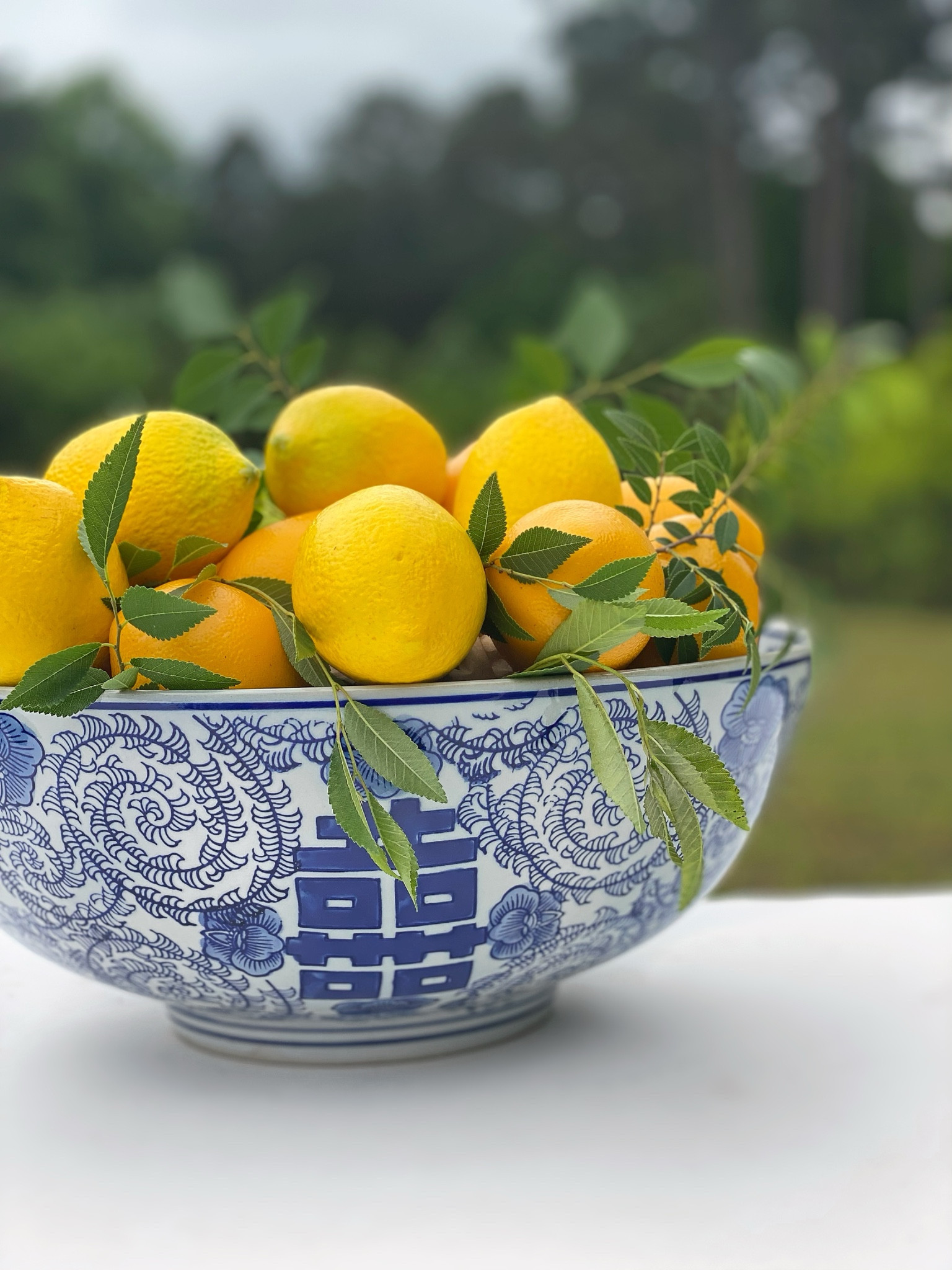 If you’re considering growing a lemon or lime tree, you’re not alone. I’m here to tell you that, like many other things in life, citrus trees will introduce you to new levels of stress, joy, confusion, and pride. My own citrus journey has been a series of ups and downs, many of them involving me learning the hard way, and I wouldn’t have it any other way. 
https://southernhospitalityco.com/2025/01/31/winter-citrus-secrets-from-two-plant-obsessed-women/

#LTKFindsUnder100 #LTKSeasonal #LTKHome