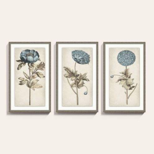 Scents of Blue Botanical Framed Art Print Series | Ballard Designs, Inc.