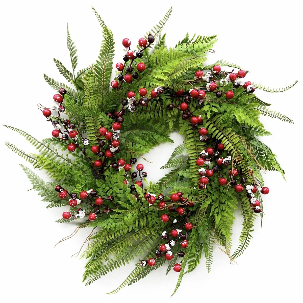 24" Real Touch Fern Winter Frosted Red Black Berry Wreath for Front Door, Artificial Farmhouse Wr... | Wayfair North America