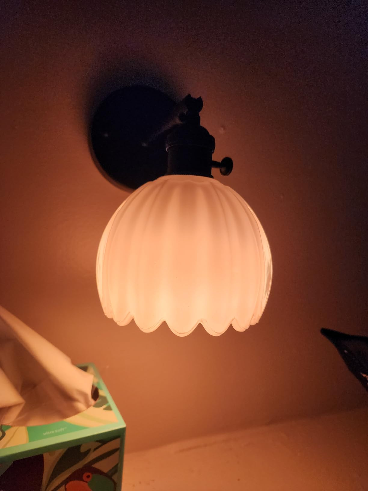 Vintage Battery Operated Wall Sconce with Cute Amber Tulip Glass Lampshade Wireless Rechargeable ... | Amazon (US)