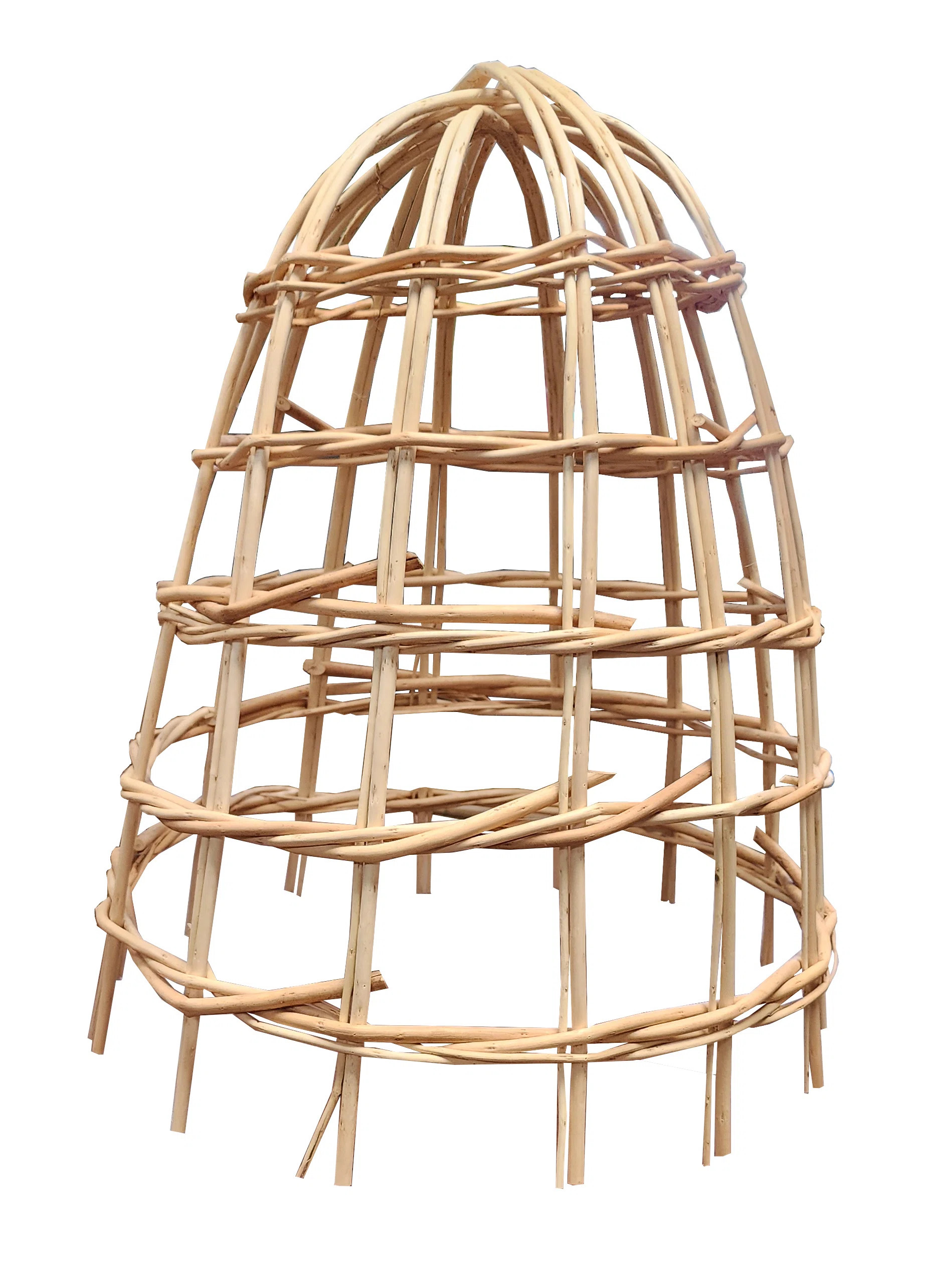 Willow Cloche | Wayfair North America