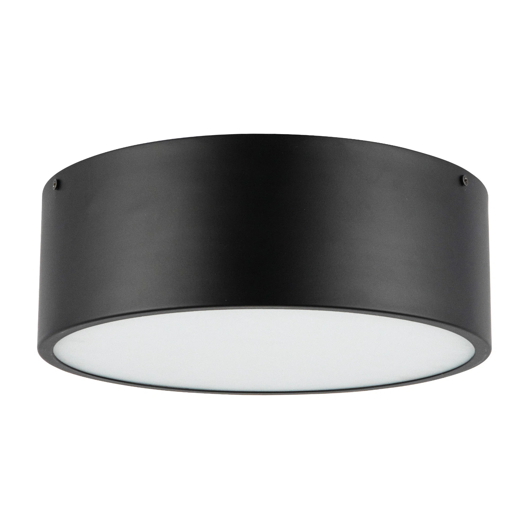 Mossy Flush Mount | Wayfair North America