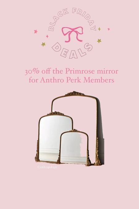 The primrose mirror is at the lowest you’ll ever see it! 30% off 🙌🏼 I have the 5ft on my mantel 

#LTKhome #LTKCyberWeek #LTKHoliday