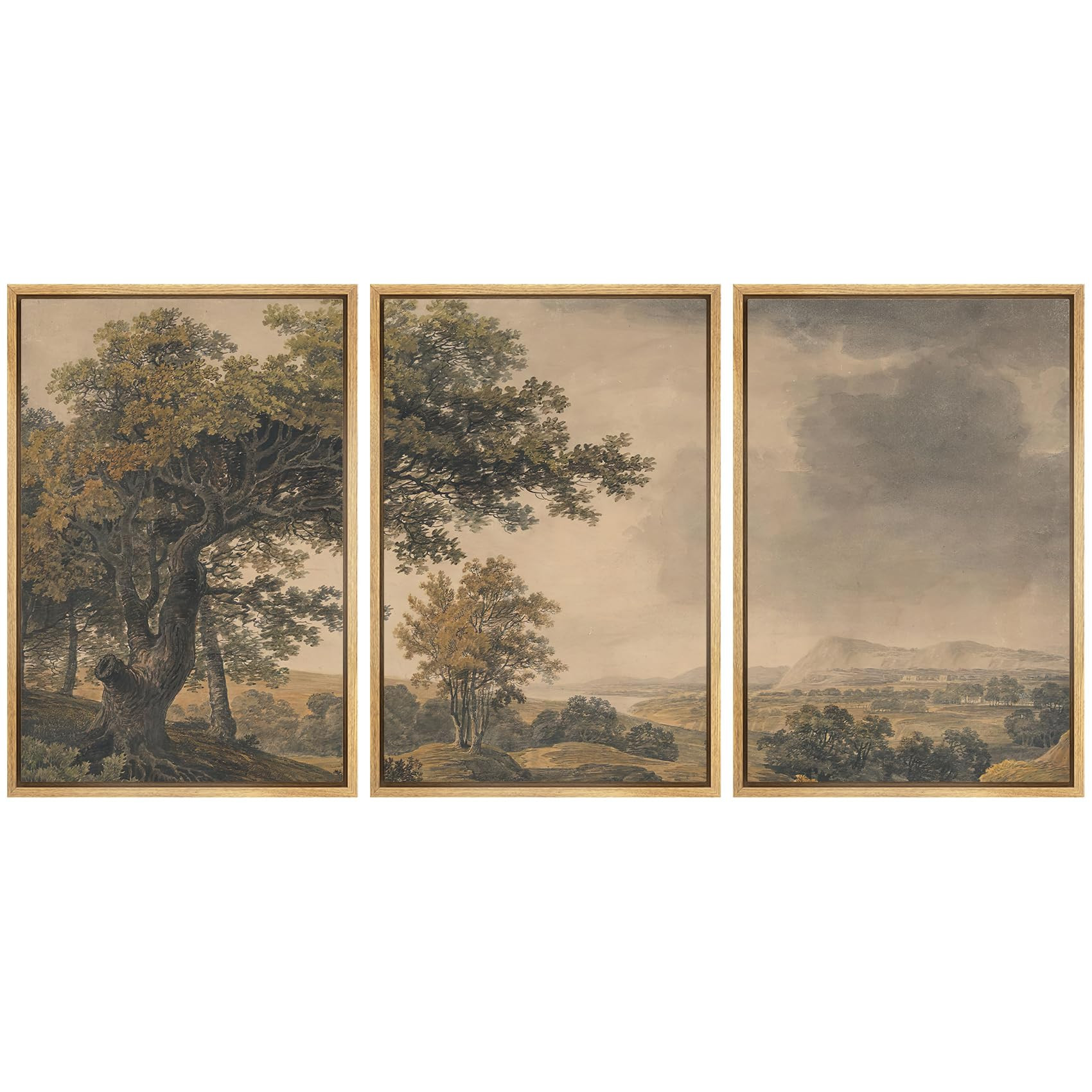 MUDECOR Framed Wall Art Print Set Vintage Landscape Rustic Tree and Mountain View Illustrations D... | Amazon (US)