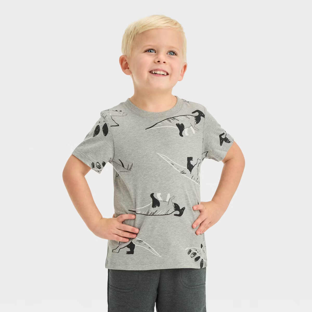 Toddler Boys' Short Sleeve Jersey Knit T-Shirt - Cat & Jack™ | Target