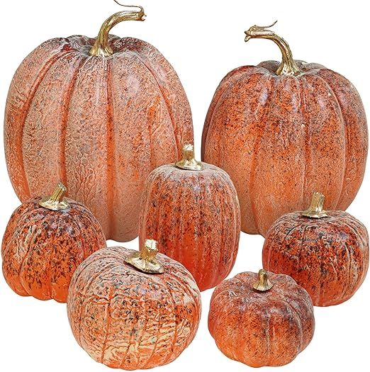 Winlyn 7 Pcs Assorted Orange and Black Artificial Pumpkins Harvest Decorative Pumpkins for Rustic... | Amazon (US)