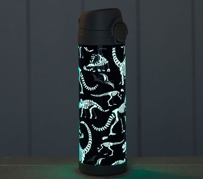 Mackenzie Blue/Gray Glow-in-the-Dark Dinos Water Bottles | Pottery Barn Kids