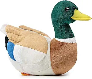 double bread 12" Mallard Duck Plush, Realistic Mallard Duck Stuffed Animal, Soft Lifelike Green D... | Amazon (US)
