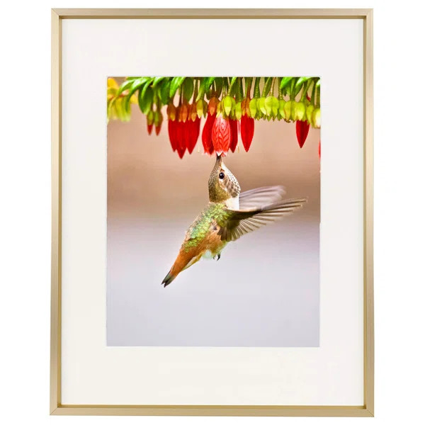 Gold | Wayfair North America