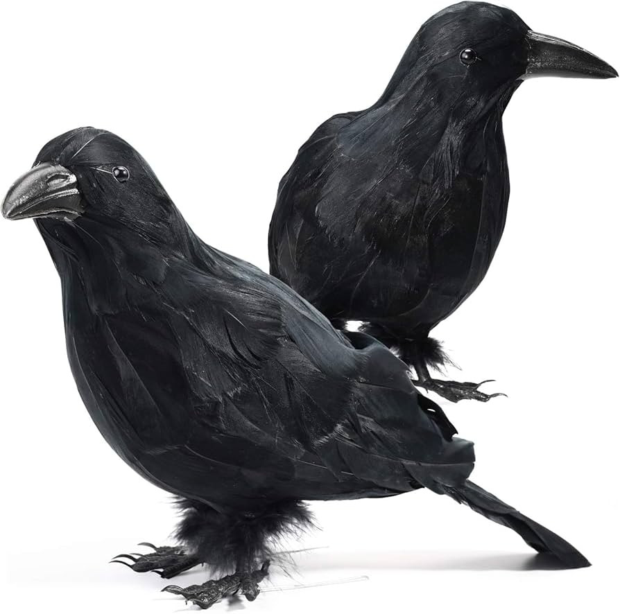 Halloween Decorations 2 PCS Realistic Crows Halloween Decor Birds Black Feathered Crows - Hallowe... | Amazon (US)