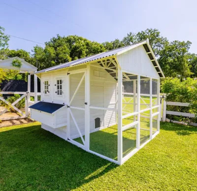 Zylina Modern Chicken Barn, 20 Chicken Capacity | Tractor Supply