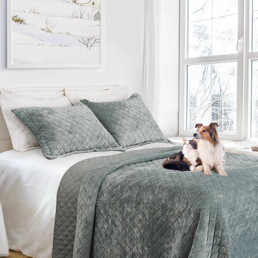 Luxury Velvet Twin Quilt Set, Ultra Soft Lightweight Velvet Comforter Set, Oversized Bedspread Co... | Amazon (US)