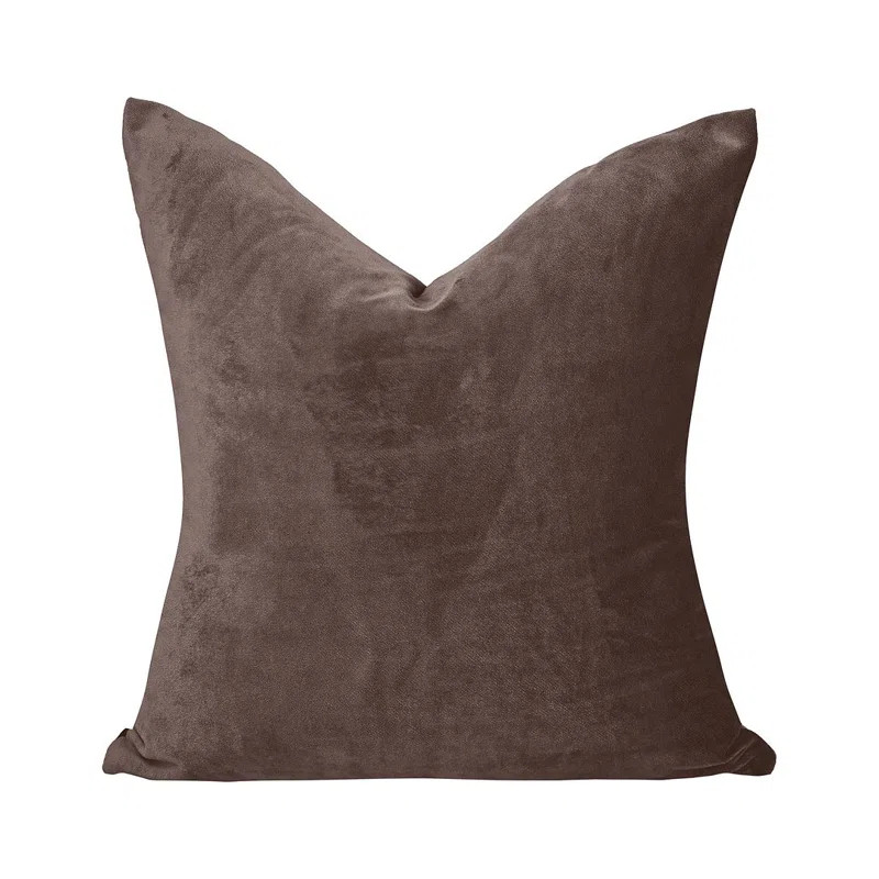 Velvet Throw Square Pillow Cover (Set of 2) | Wayfair North America