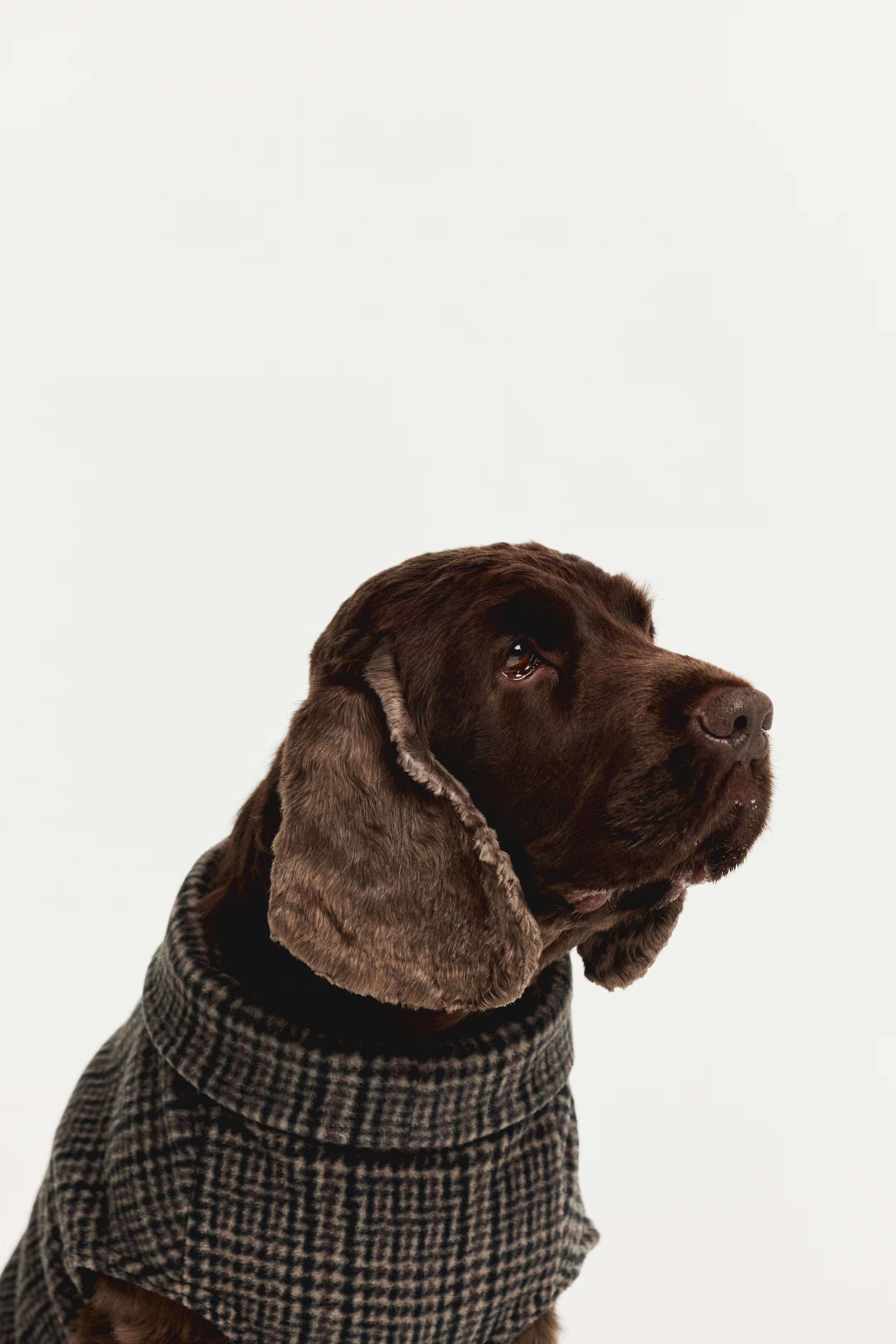 Fleece Top for Dog - Beige/plaid - Ladies | H&M US | H&M (US + CA)