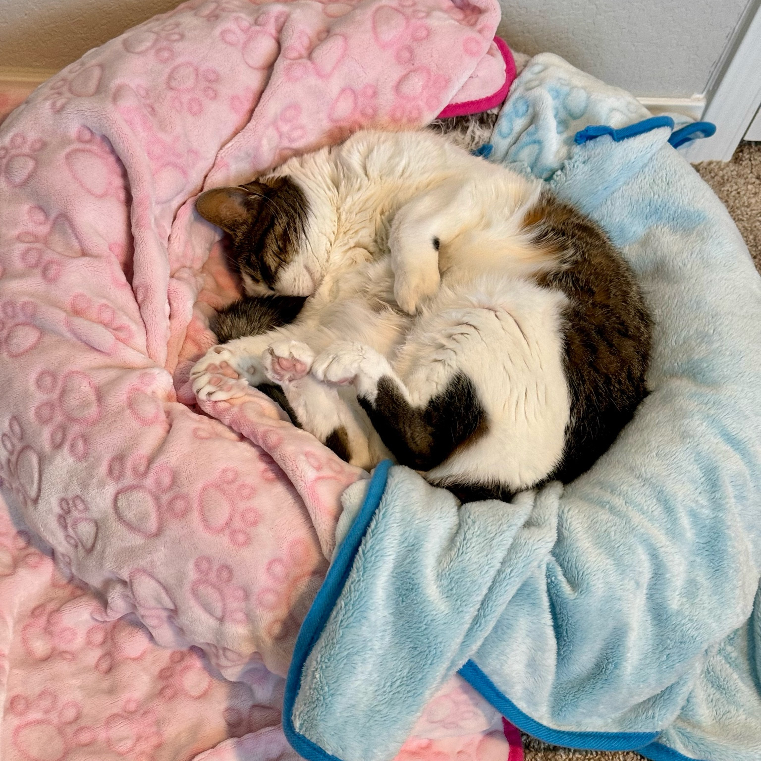 Sleepy little girl 🎀

#LTKfindsunder50 #LTKfamily #LTKhome