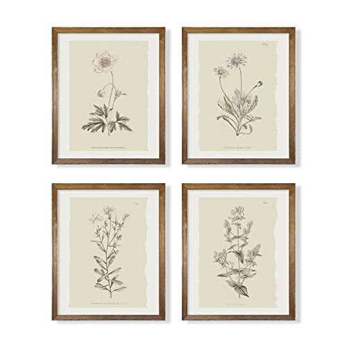 Amazon.com: Vintage Botanical Plant Wall Art - Neutral Boho Minimalist Flower Floral Posters Prin... | Amazon (US)