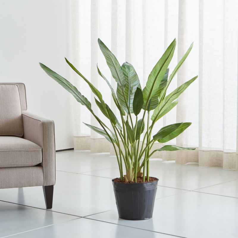 Artificial/Faux Bird of Paradise Tree + Reviews | Crate and Barrel | Crate & Barrel
