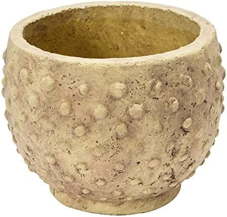 Creative Co-Op Sandstone Hobnail, Distressed Finish Planter Pot, 9" L x 9" W x 7" H, Greige | Amazon (US)