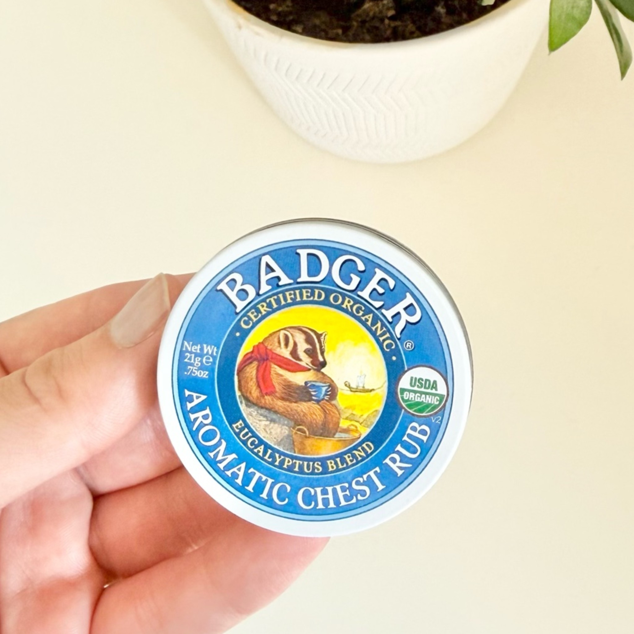 @badgerbalm 
Aromatic Chest Rub
Regularly $9.99
Sale $8.99

#LTKSaleAlert