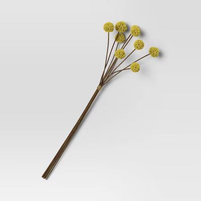 Billy Ball Grassy Stem Arrangement Green - Threshold&#8482; | Target