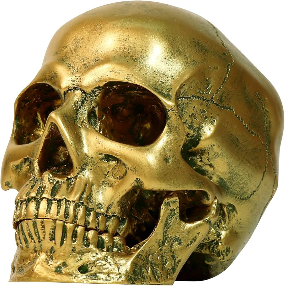 Resin Gold Skull Model - Life Size High Fidelity Sculpture for Halloween Decor Statues, Home Deco... | Amazon (US)