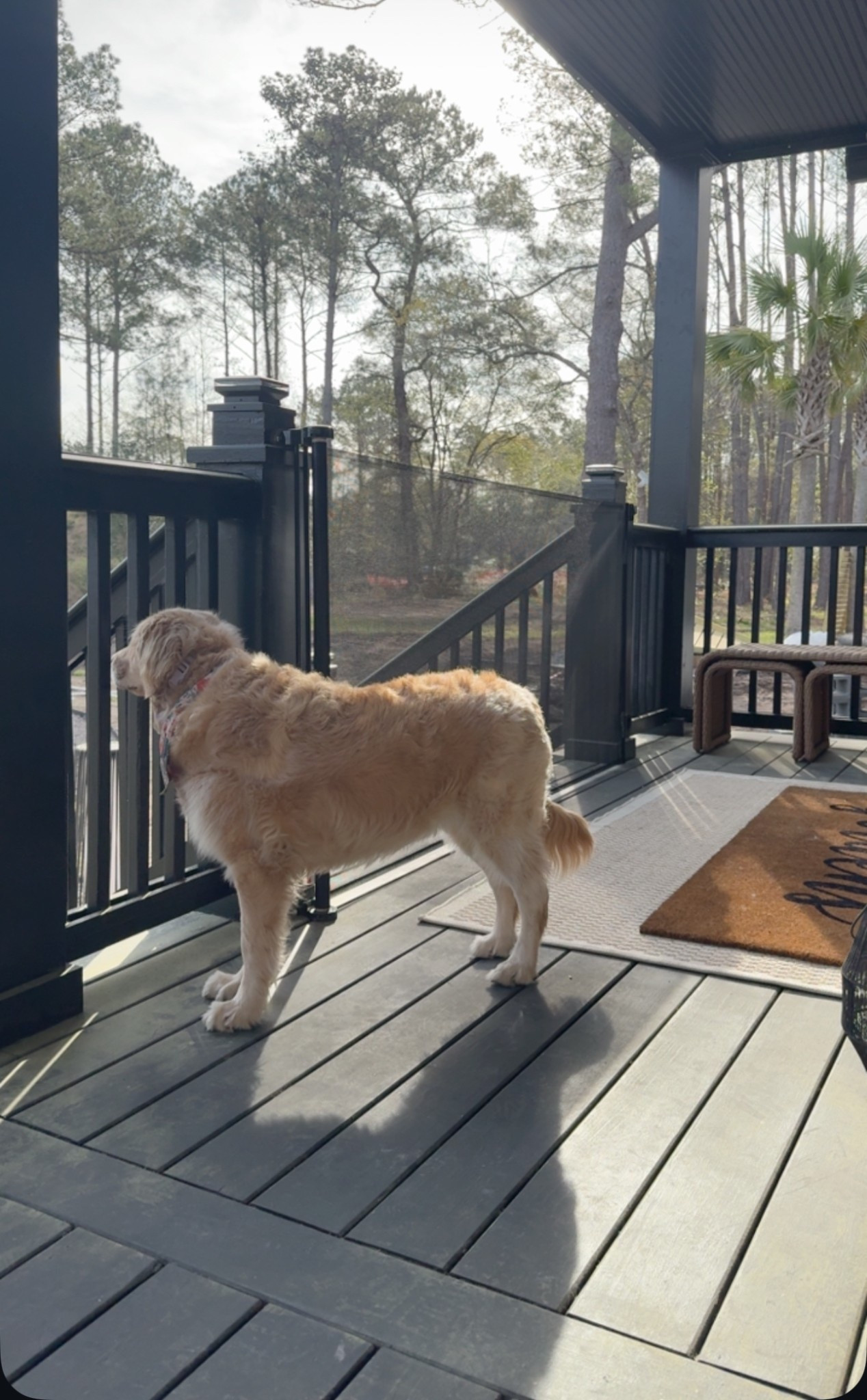Love these retractable gates! We have on out front & back for our patios for the dogs🫶🏼 super easy to install, multiple widths & heights + colors! Highly suggest. 

Home / pets / kid friendly / target / Amazon / patio / Holley Gabrielle 

#LTKPets #LTKFamily #LTKHome