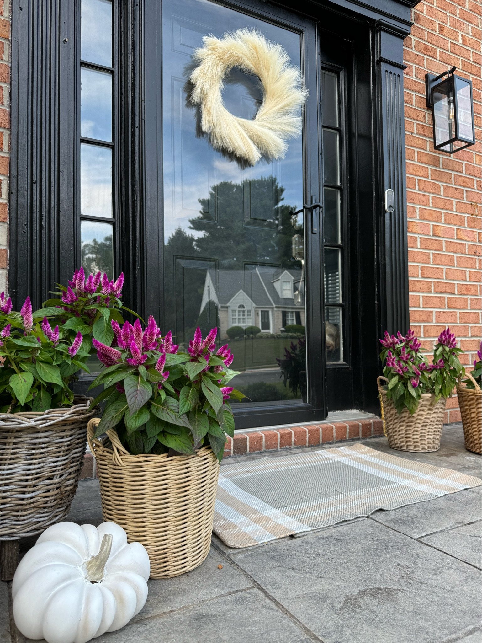 Early Fall Porch Decor
Plaid indoor outdoor scatter accent rug
Studio McGee front porch rug
Front porch decor
Faux pumpkin
Fall front porch 
Pampas wreath
Fall wreath
Outdoor lighting
Outdoor black wall light 


#LTKHome #LTKFindsUnder50 #LTKSeasonal