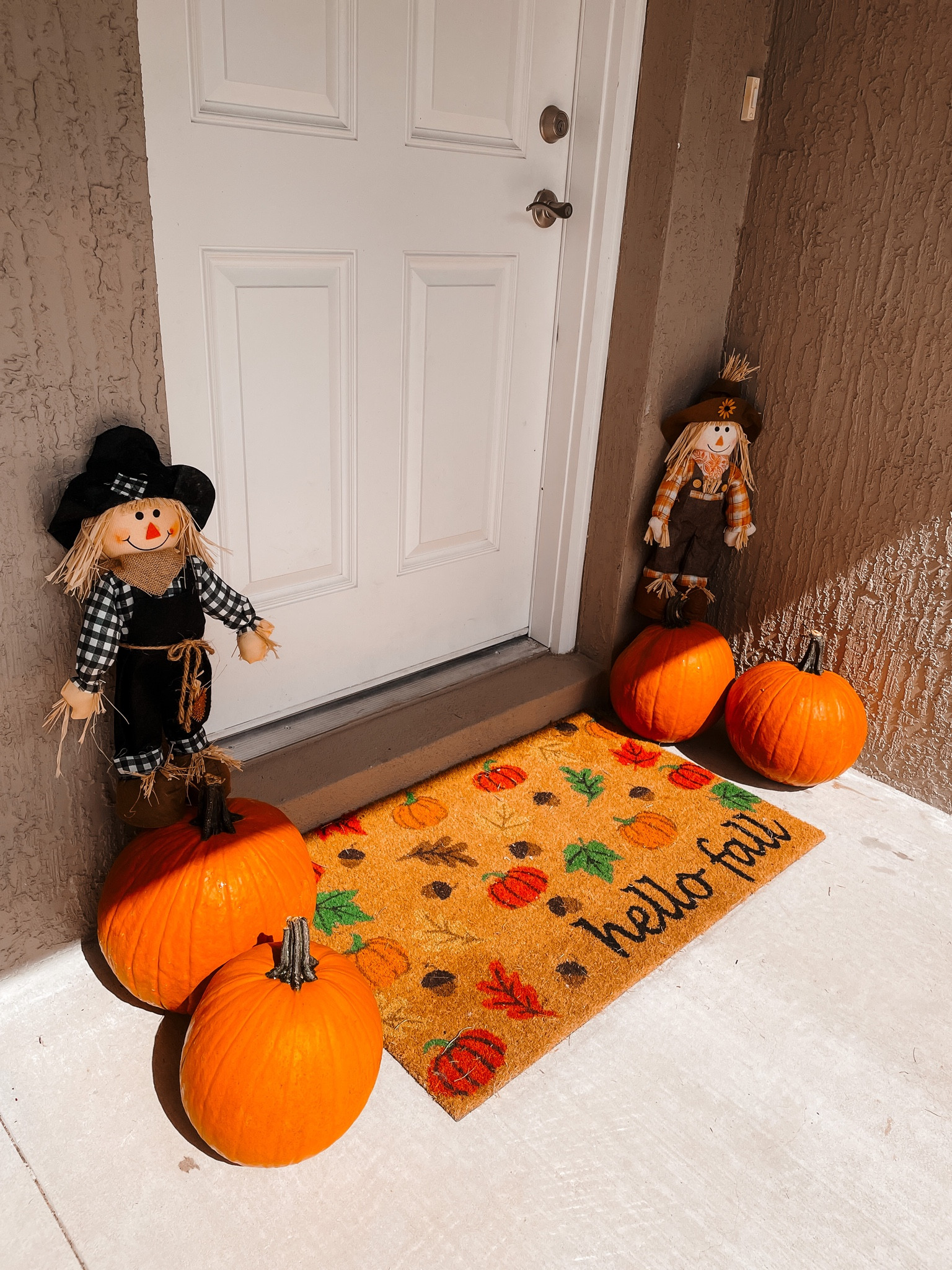 It’s officially fall! 🍁🍂

Fall home decor, fall outdoor decor, fall outdoor home decor, front porch fall decor, sams club decor, sams club fall decor 

#LTKSeasonal #LTKfindsunder50 #LTKhome