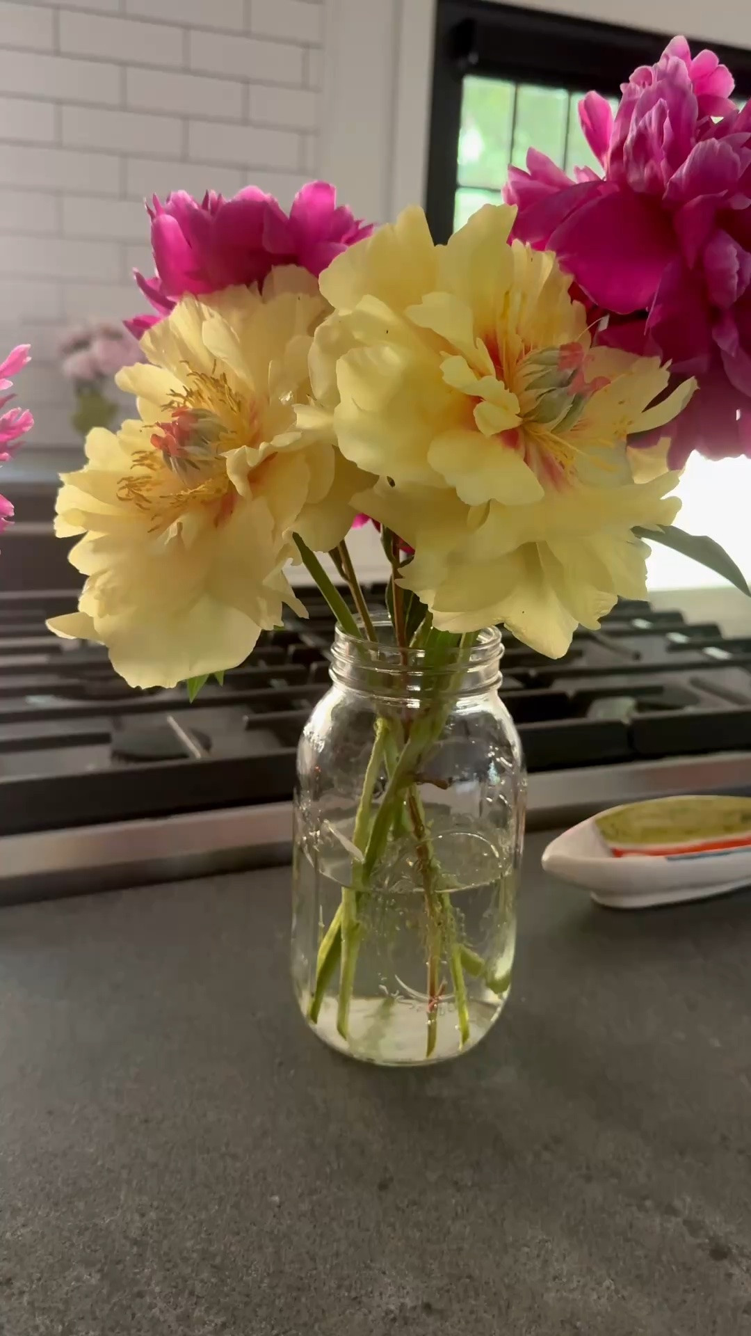 Nothing makes me happier in the morning then coffee and peonies.

#LTKmorningroutine #LTKfoodie #LTKSeasonal
