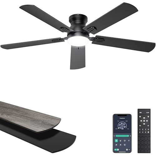 Ohniyou 52'' Low Profile Ceiling Fan with Lights, Remote/APP Control, Black | Amazon (US)