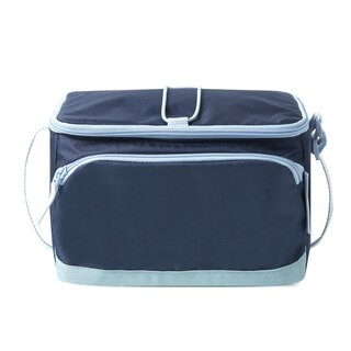 Arctic Zone 6-Can Personal Cooler, Blue | CVS Health