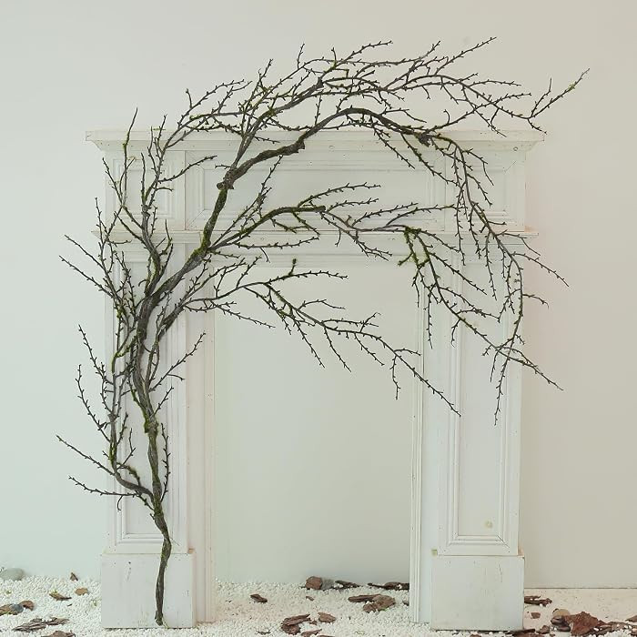 190cm/74.8inch Artificial Creepy Flexible Tree Branches Faux Grape Vines Garland Twigs with Moss ... | Amazon (US)
