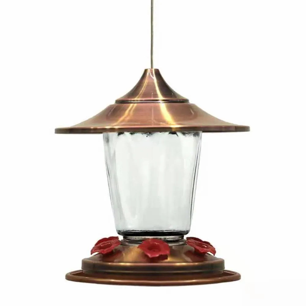 Style Selections Glass Hanging Nectar Hummingbird feeder - 28-oz in Bronze | HB911 | Lowe's