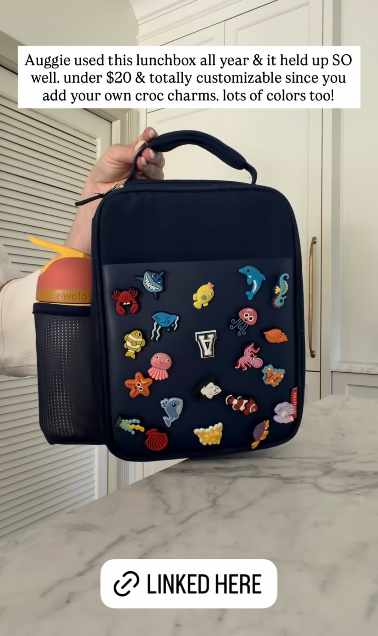 Auggie used this lunchbox all year & it held up SO well. under $20 & totally customizable since you add your own croc charms. lots of colors too!

#LTKmomlife #LTKKids #LTKfoodie