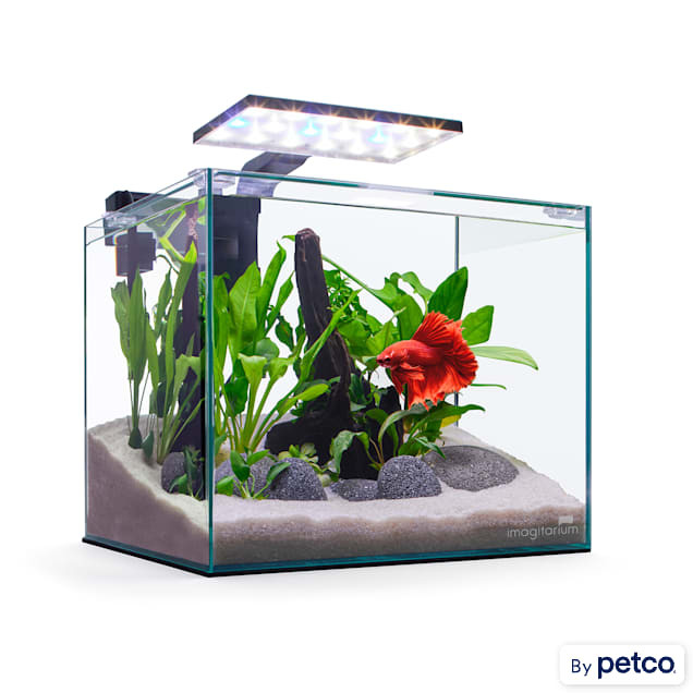 Imagitarium Glass Betta Aquarium Kit, 5 Gallons | Petco
