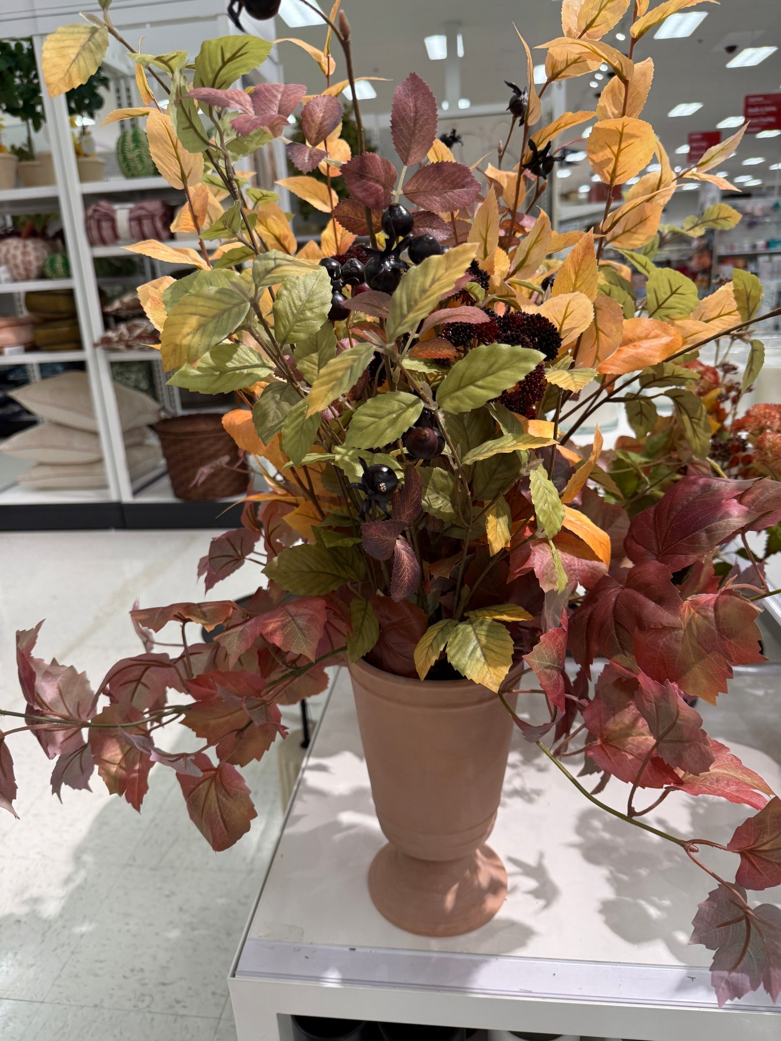 The prettiest fall stems from Target! Loving all these fall colors! 

#LTKHome #LTKSeasonal #LTKFindsUnder50