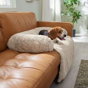 FRISCO Dog & Cat Couch Cover with Bolsters, Sand - Chewy.com | Chewy.com